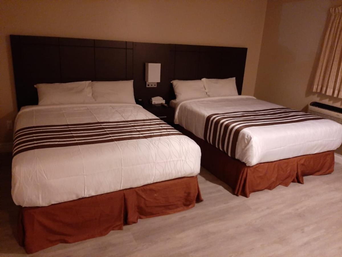 Silver Maple Motel Haliburton Dış mekan fotoğraf